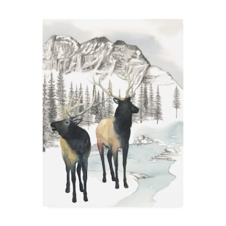 Grace Popp 'Winter Elk Ii' Canvas Art,14x19